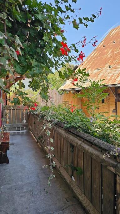Vila Le Banc Des Seilles Bonvillard Exteriér fotografie